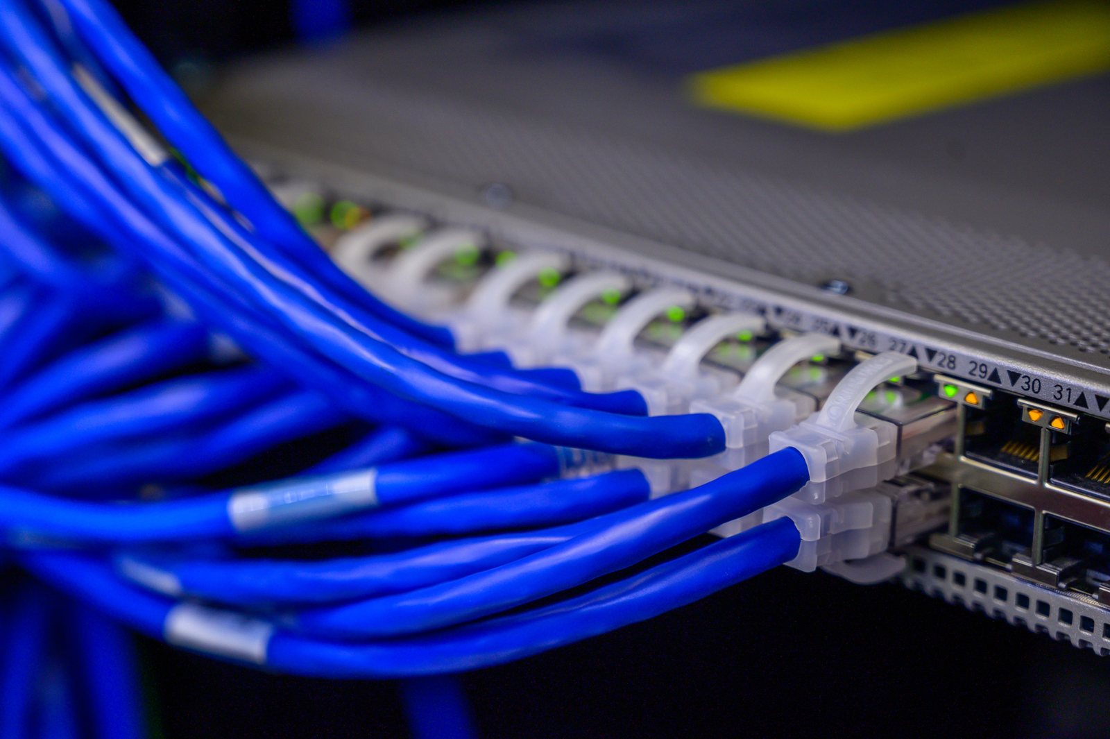 Blue Ethernet cables terminated into network switch ports