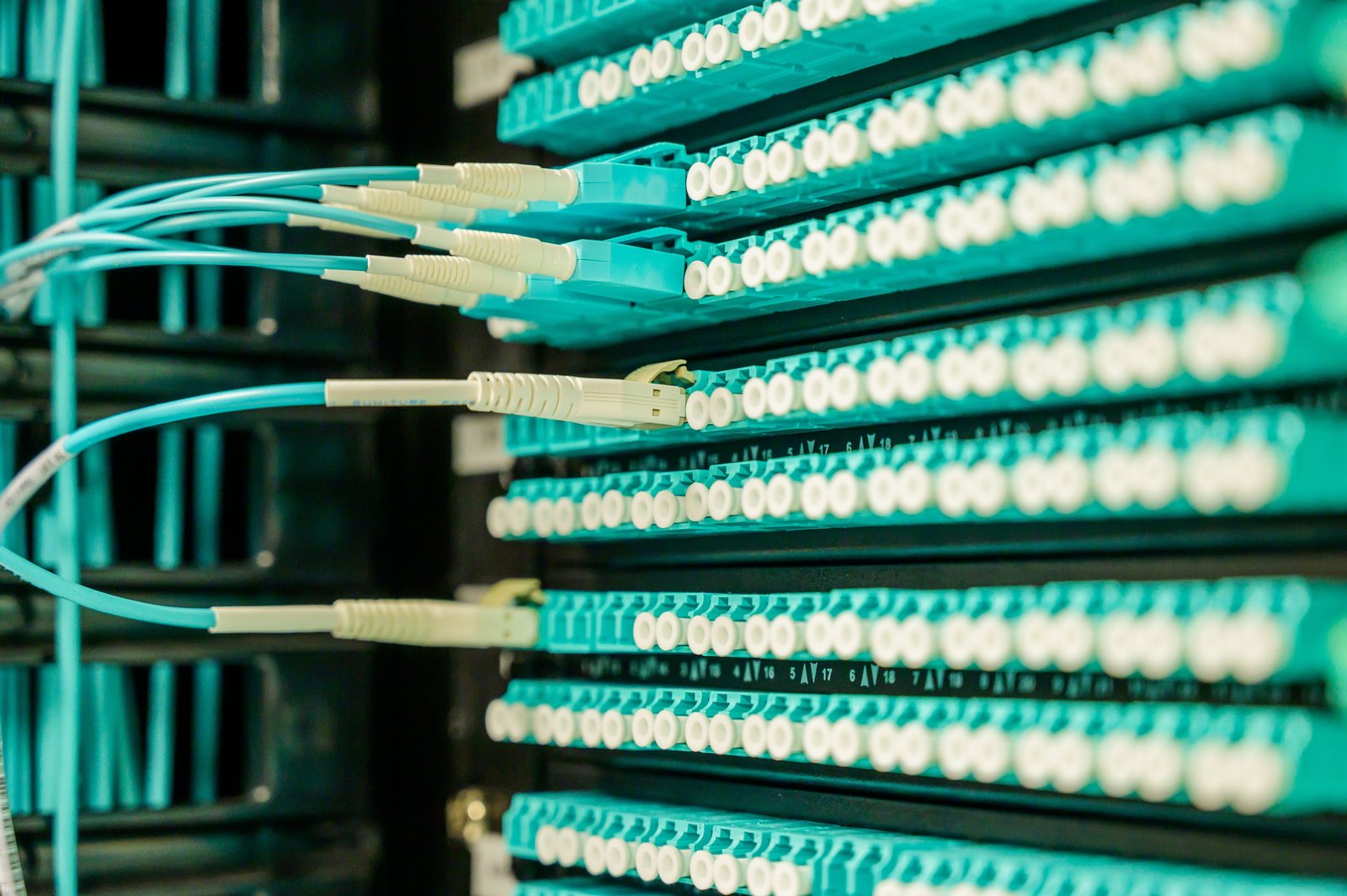 Fiber patch cords connected to a high-density patch panel in a building distribution frame